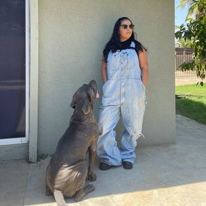 Vintage Dickies overalls